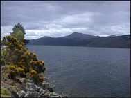Loch Ness Trout Fishing