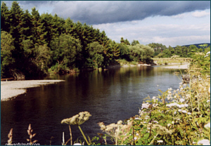 River Nith salmon fishing